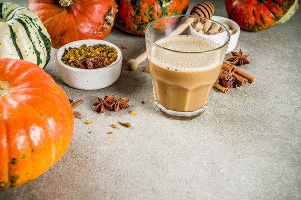 Traditional Autumn Winter Drink Spicy Pumpkin Coffee Latte Cinnamon Anise — Stock Photo, Image