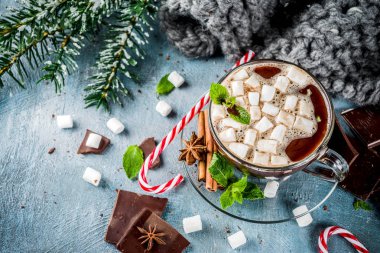 Nane, şeker kamışı ve hatmi, sıcak battaniye, kopya alanı ile açık mavi renkli ev yapımı sıcak çikolata