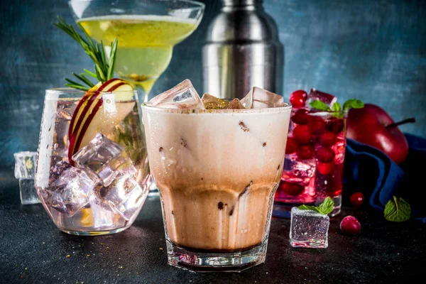 Vari Autunno Inverno Cocktail Alcolico Stagionale Mela Rosmarino Cranberry Vodka — Foto Stock