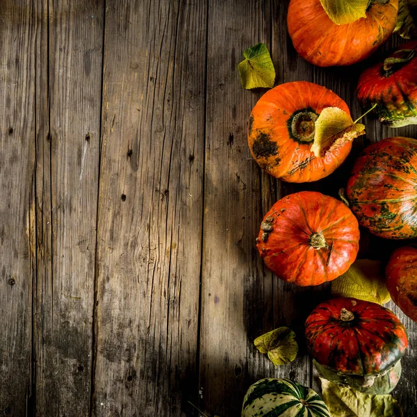 Herbsterntekonzept Kürbishintergrund Mit Gelben Blättern Alter Rustikaler Holztisch Kopierraum — Stockfoto