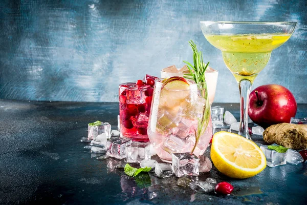Olika Höst Vinter Säsongsbetonad Alkohol Cocktail Apple Rosmarin Tranbär Vodka — Stockfoto