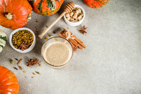 Geleneksel sonbahar kış içki, tarçın, anason, karanfil, şeker kamışı, pumpkins, gri bir beton zemin üzerine ile baharatlı kabak kahve latte alanı Kopyala