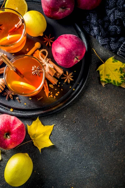 Deux Tasses Thé Épicé Chaud Automne Hiver Avec Des Pommes — Photo