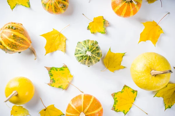 Herbst Hintergrund Kreative Gestaltung Mit Dekorativen Kleinen Kürbissen Gelben Herbstblättern — Stockfoto