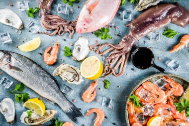 İstiridye midye balık baharat otlar limon bir açık mavi renkli kopya alanı en iyi görünümü ile taze çiğ deniz mahsulleri kalamar karides 