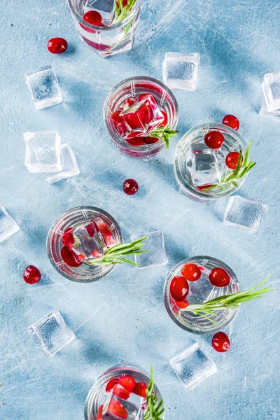 Christmas New Year Winter Cranberry Cocktail Rosemary Liqueur Gin Tonic — Stock Photo, Image