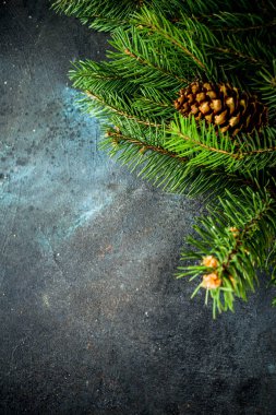 Noel ağacı dalları üstten görünüm kopya alanı ile koyu arka plan