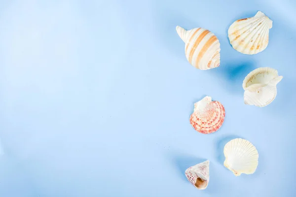 Sommerurlaub Konzept Layout Muscheln Auf Leuchtend Blauem Gelbem Hintergrund Draufsicht — Stockfoto