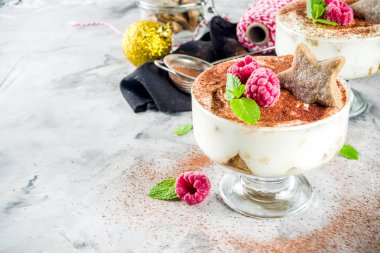 Noel tatlı fikir, Gingerbread Tiramisu tatlısı gezegendeki woth taze ahududu ve nane yaprağı. kopya alanı