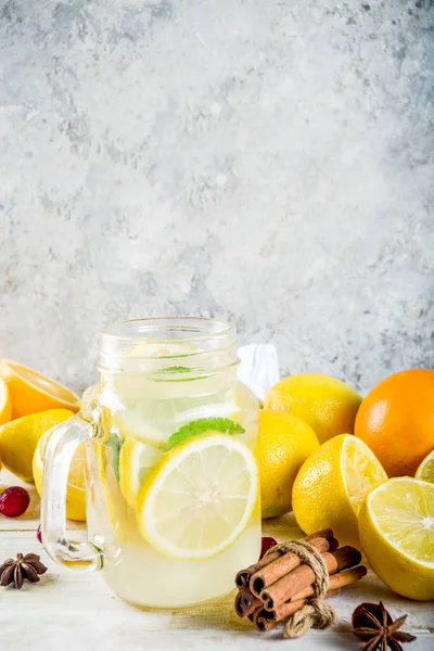 Conjunto Vários Outono Inverno Água Infundida Refrescante Bebidas Saudáveis Azedas — Fotografia de Stock