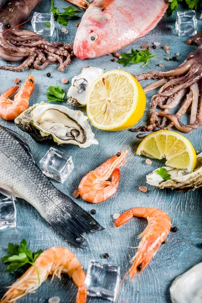 İstiridye midye balık baharat otlar limon bir açık mavi renkli kopya alanı en iyi görünümü ile taze çiğ deniz mahsulleri kalamar karides 