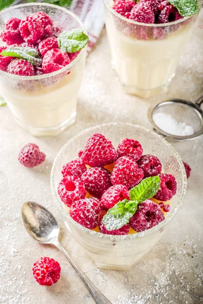 Hausgemachtes Sommersüßes Dessert Glas Panna Cotta Mit Himbeere Diät Leichter — Stockfoto