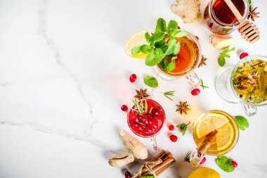 Çeşitli sonbahar kış bitki meyve ve meyve çayı, kızılcık, biberiye, nane limon ile. kireç. çiçek, tıbbi otlar ve baharatlar. üstten görünüm kopya alanı