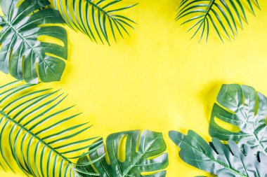 Tropikal arka plan. Palmiye ve monstera yaprakları sarı mavi zemin üzerine. Flatlay, üstten görünüm, minimal düzen, yaz konsepti