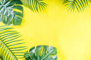 Tropikal arka plan. Palmiye ve monstera yaprakları sarı mavi zemin üzerine. Flatlay, üstten görünüm, minimal düzen, yaz konsepti