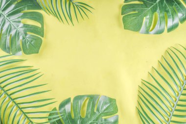 Tropikal arka plan. Palmiye ve monstera yaprakları sarı mavi zemin üzerine. Flatlay, üstten görünüm, minimal düzen, yaz konsepti
