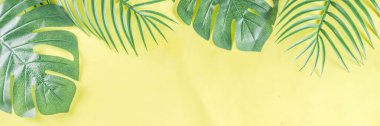 Tropikal arka plan. Palmiye ve monstera yaprakları sarı mavi zemin üzerine. Flatlay, üstten görünüm, minimal düzen, yaz konsepti afiş