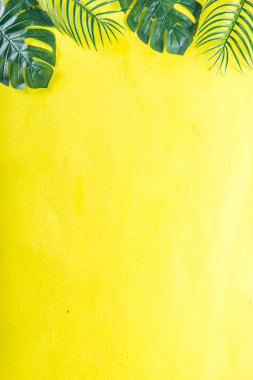 Tropikal arka plan. Palmiye ve monstera yaprakları sarı mavi zemin üzerine. Flatlay, üstten görünüm, minimal düzen, yaz konsepti