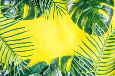 Tropikal arka plan. Palmiye ve monstera yaprakları sarı mavi zemin üzerine. Flatlay, üstten görünüm, minimal düzen, yaz konsepti