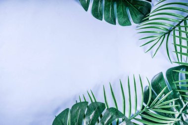 Tropikal arka plan. Palmiye ve monstera yaprakları sarı mavi zemin üzerine. Flatlay, üstten görünüm, minimal düzen, yaz konsepti