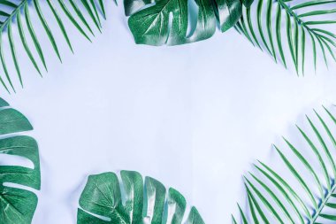 Tropikal arka plan. Palmiye ve monstera yaprakları sarı mavi zemin üzerine. Flatlay, üstten görünüm, minimal düzen, yaz konsepti