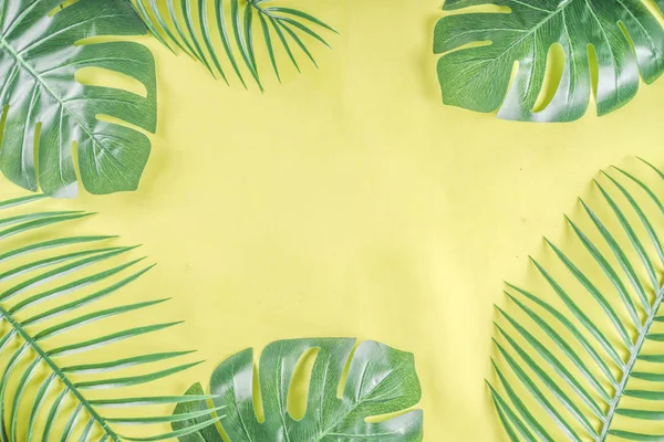 Tropikal arka plan. Palmiye ve monstera yaprakları sarı mavi zemin üzerine. Flatlay, üstten görünüm, minimal düzen, yaz konsepti