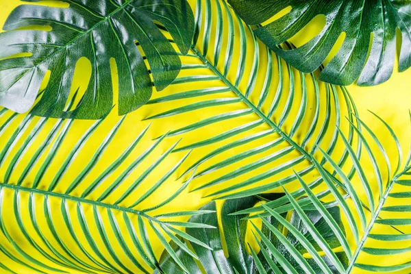 Tropikal arka plan. Palmiye ve monstera yaprakları sarı mavi zemin üzerine. Flatlay, üstten görünüm, minimal düzen, yaz konsepti