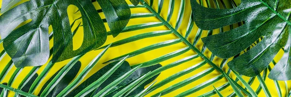 Tropikalny Tło Palm Monstera Liści Niebieskim Tle Żółte Flatlay Widok — Zdjęcie stockowe