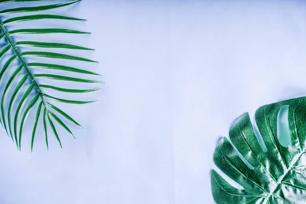 Tropical background. Palm and monstera leaves on yellow blue  background. Flatlay, top view, minimal layout, summer concept