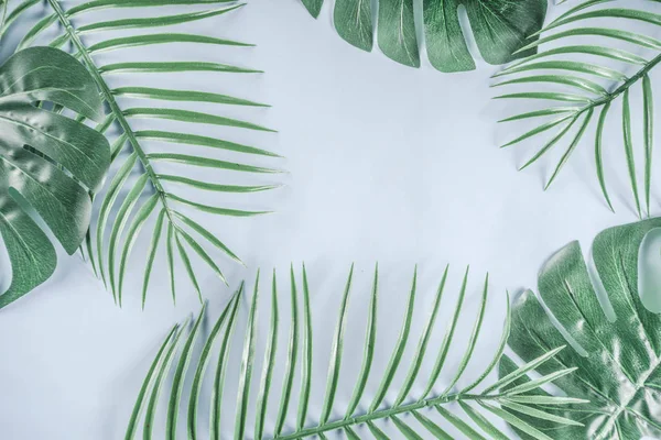 Tropical background. Palm and monstera leaves on yellow blue  background. Flatlay, top view, minimal layout, summer concept