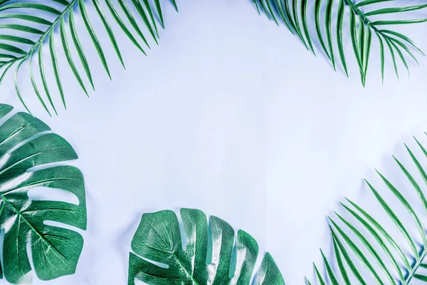 Tropikal arka plan. Palmiye ve monstera yaprakları sarı mavi zemin üzerine. Flatlay, üstten görünüm, minimal düzen, yaz konsepti