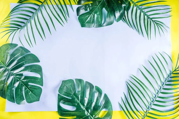 Tropikal arka plan. Palmiye ve monstera yaprakları sarı mavi zemin üzerine. Flatlay, üstten görünüm, minimal düzen, yaz konsepti