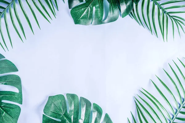 Tropikal arka plan. Palmiye ve monstera yaprakları sarı mavi zemin üzerine. Flatlay, üstten görünüm, minimal düzen, yaz konsepti