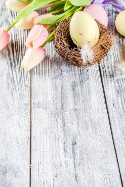 Lale çiçek ve renkli boyalı Paskalya yumurtaları ile pastel Paskalya arka plan. Üstten görünüm, rustik beyaz ahşap masa. Tebrik kartı için arka plan. Metin için yer kopyalayın