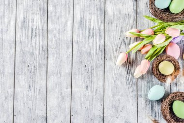 Lale çiçek ve renkli boyalı Paskalya yumurtaları ile pastel Paskalya arka plan. Üstten görünüm, rustik beyaz ahşap masa. Tebrik kartı için arka plan. Metin için yer kopyalayın