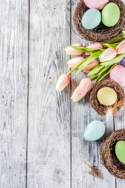 Lale çiçek ve renkli boyalı Paskalya yumurtaları ile pastel Paskalya arka plan. Üstten görünüm, rustik beyaz ahşap masa. Tebrik kartı için arka plan. Metin için yer kopyalayın