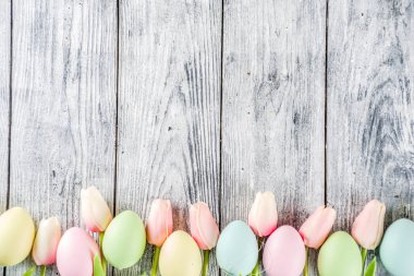 Lale çiçek ve renkli boyalı Paskalya yumurtaları ile pastel Paskalya arka plan. Üstten görünüm, rustik beyaz ahşap masa. Tebrik kartı için arka plan. Metin için yer kopyalayın