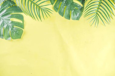 Tropikal arka plan. Palmiye ve monstera yaprakları sarı mavi zemin üzerine. Flatlay, üstten görünüm, minimal düzen, yaz konsepti