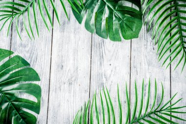 Tropikal arka plan. Ahşap gri arka plan üzerinde palmiye ve monstera yaprakları. Flatlay, üstten görünüm, minimal düzen, yaz konsepti