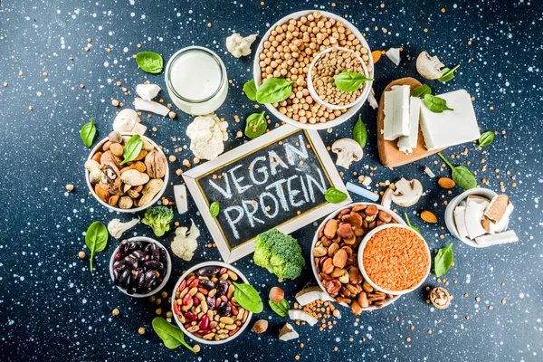 Healthy plant vegan food, veggie protein sources: Tofu, vegan milk, beans, lentils, nuts, soy milk, spinach and seeds. Dark blue concrete background copy space