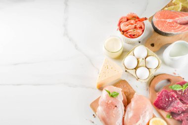 Hayvansal protein kaynakları