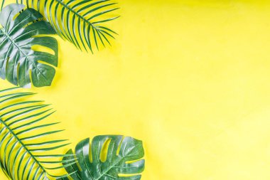 Tropik palmiye ve canavar yaprakları arka planda