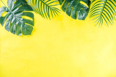 Tropik palmiye ve canavar yaprakları arka planda