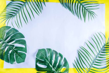 Tropik palmiye ve canavar yaprakları arka planda