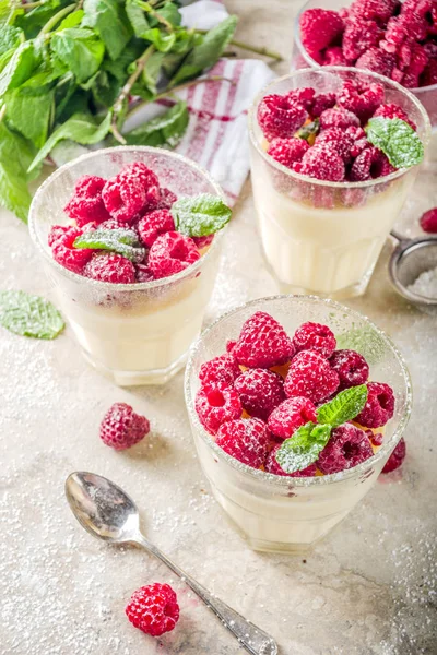 Panna cotta Dessert mit Himbeere — Stockfoto