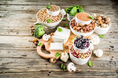 Vegan bitki protein kaynağı