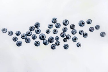 Taze çilek desen-yaban mersini, çilek, böğürtlen