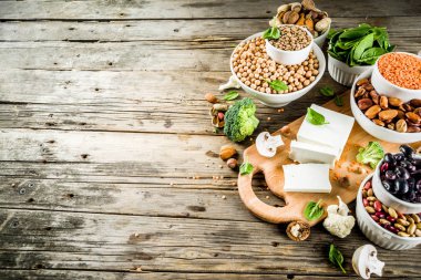 Vegan bitki protein kaynağı