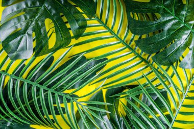 Tropik palmiye ve canavar yaprakları arka planda