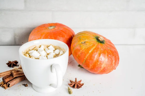 Café con leche picante de calabaza —  Fotos de Stock